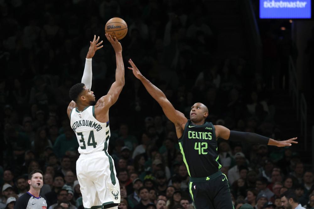 灰熊当家球 灰熊当家球